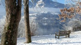 Foto de Imobiliária Ouro