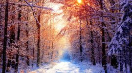 Foto de Imobiliária Ouro