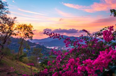 Imagem da Imobiliária