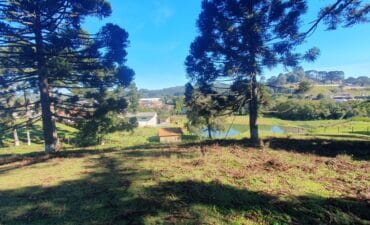 Área Rural de 56.019,76m² à Venda em Almirante Tamandaré, PR
