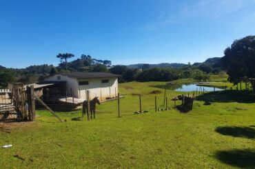 Imagem 6 do imóvel