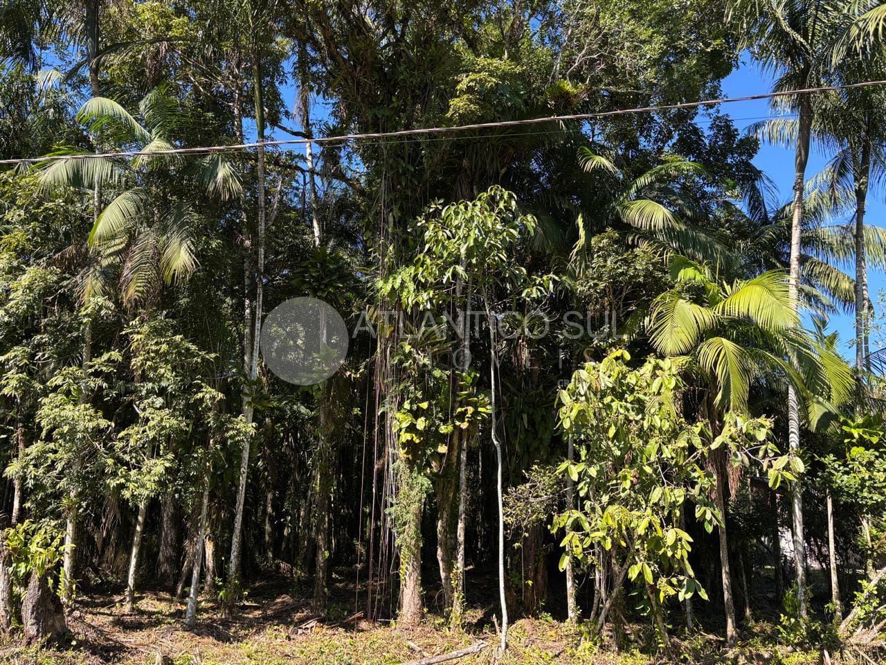 Terreno amplo em região arborizada à venda, Ouro Fino, PARANAGUA – PR - Portal Venda Imóvel Brasil