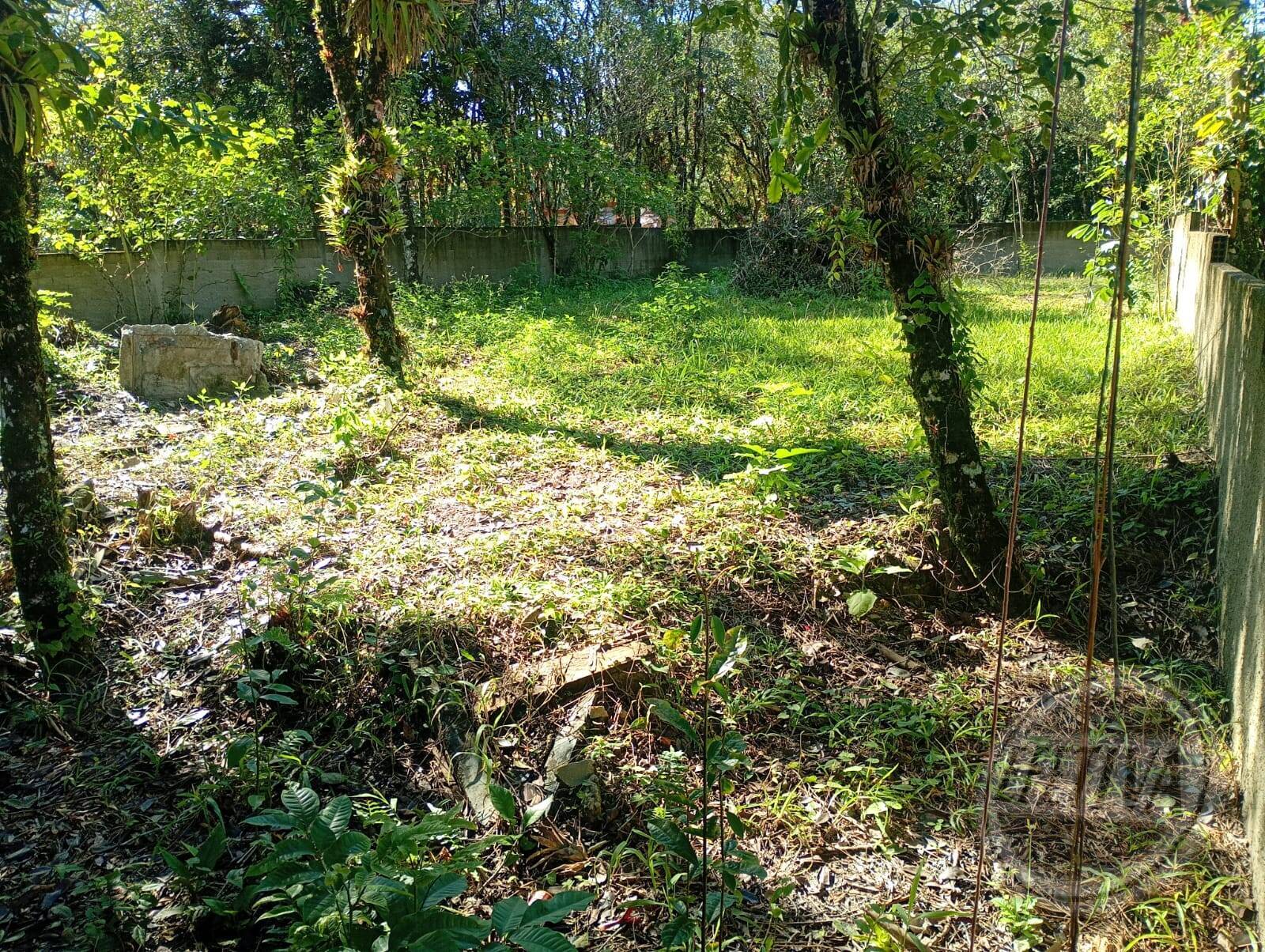 TERRENO 360M² – BAIRRO GUARAGUAÇU – PONTAL DO PR - Portal Venda Imóvel Brasil