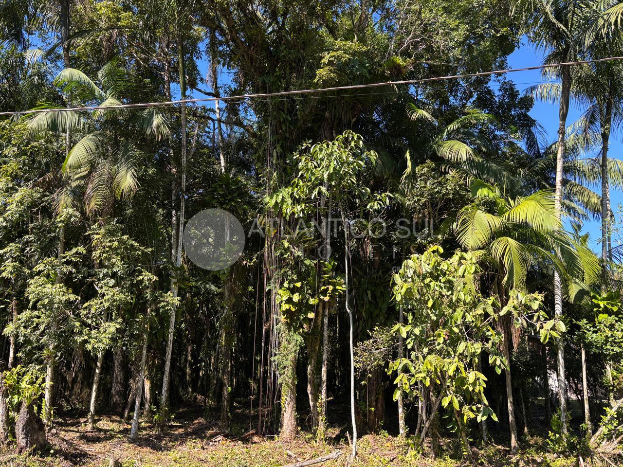 Terreno amplo em Ouro Fino, Paranaguá – Ideal para seu projeto - Portal Venda Imóvel Brasil
