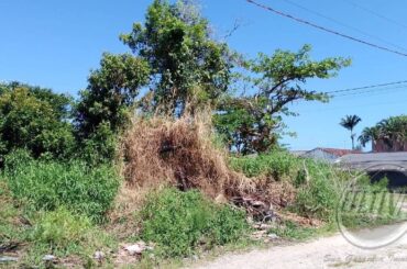 Imagem 2 do imóvel