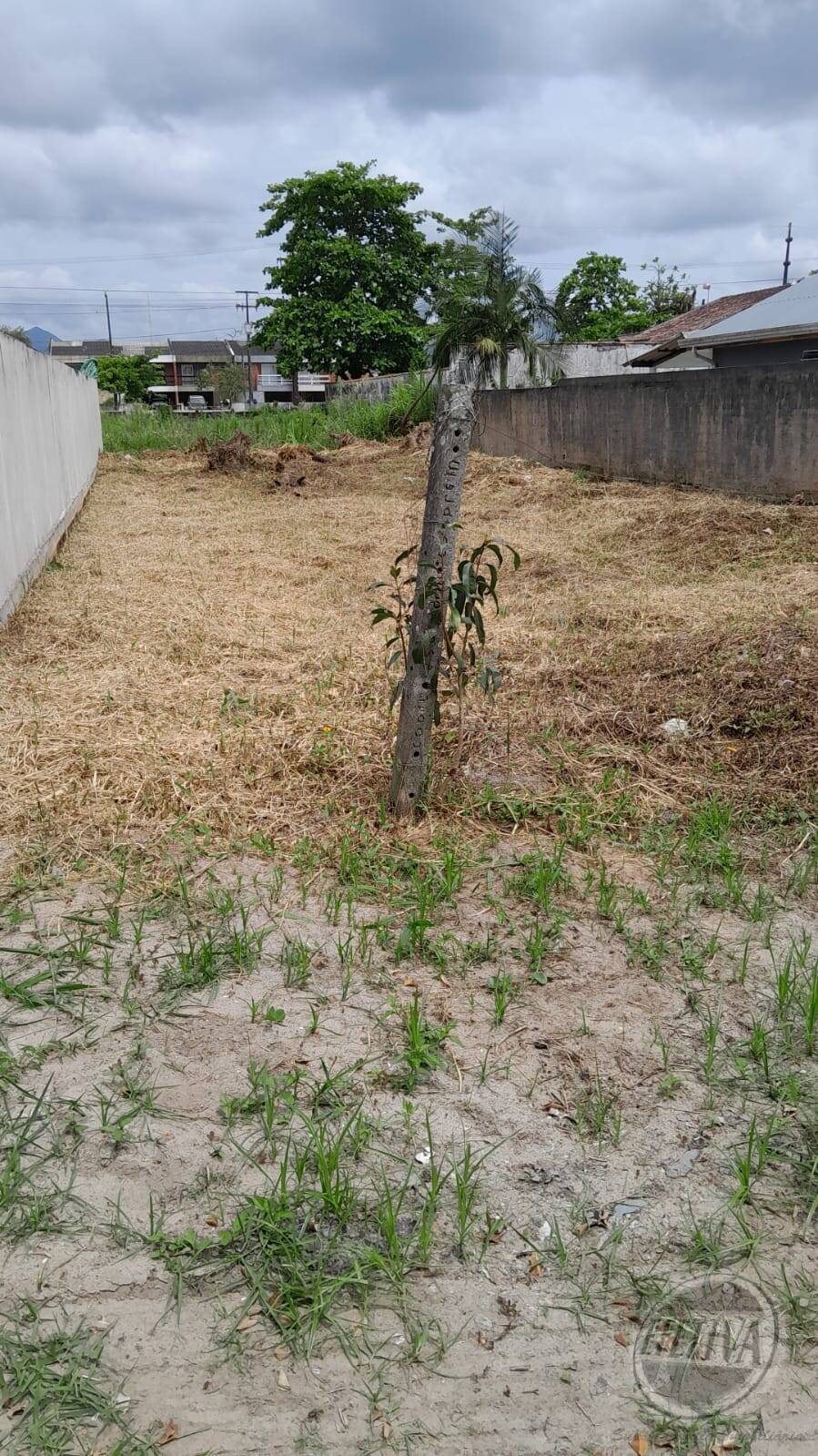 Terreno à venda em Balneário Jardim Inajá, Matinhos – PR
